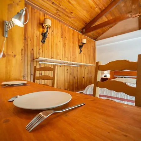 Tout Equipes Climatises Piscine Et Jardin Apartamento